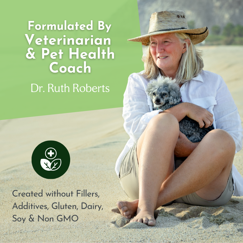 Holistic Daily Multivitamin for Dogs & Cats