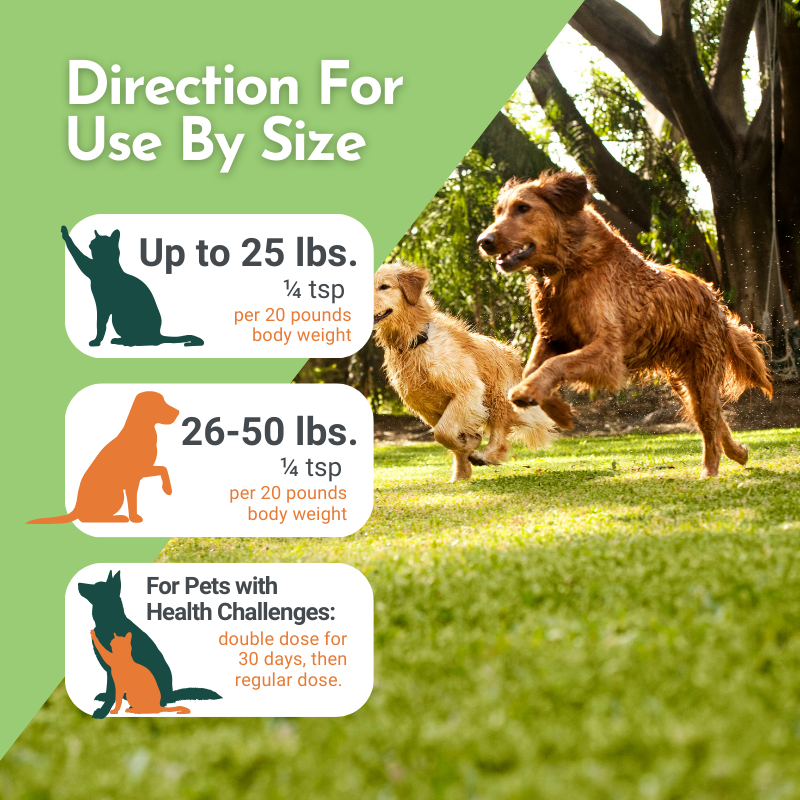 Holistic Daily Multivitamin for Dogs & Cats