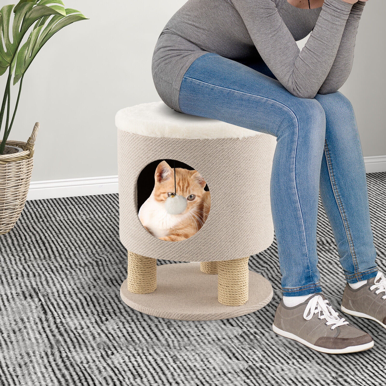 Cat Condo with Scratching Post