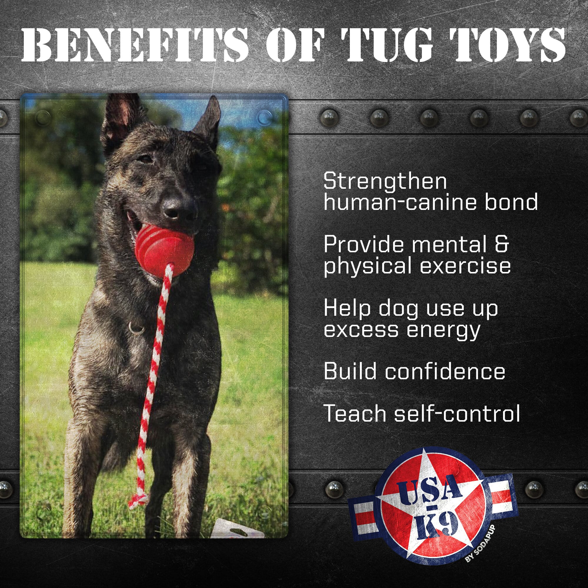 Stars & Stripes Rubber Dog Toy