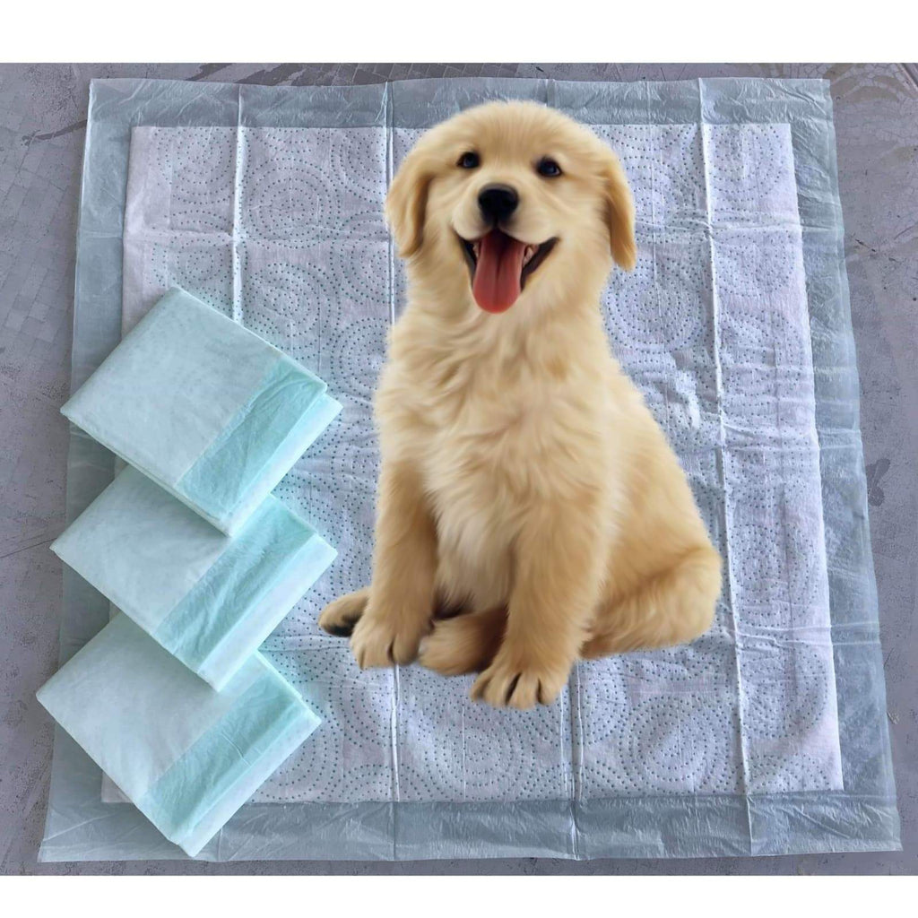 Absorbent Gel Pee Pads