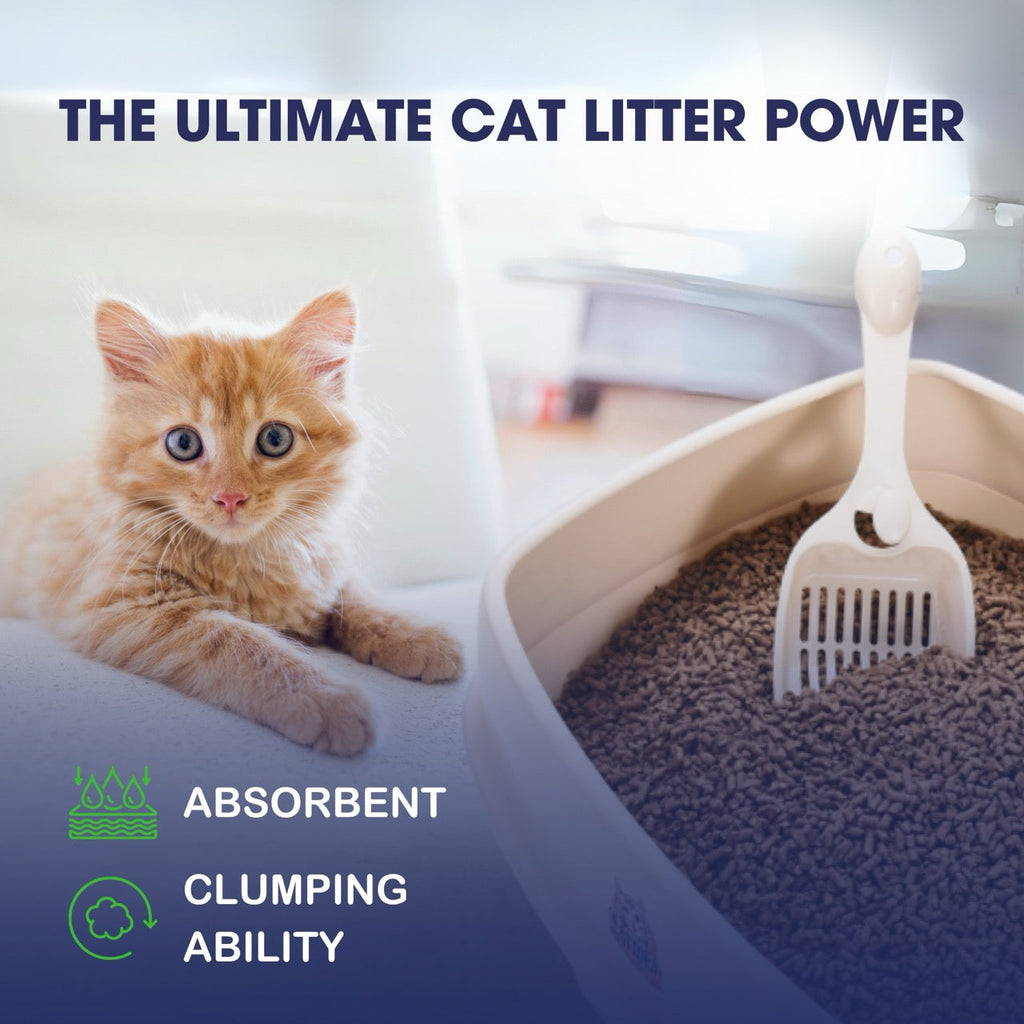 Catfidence Cat Litter