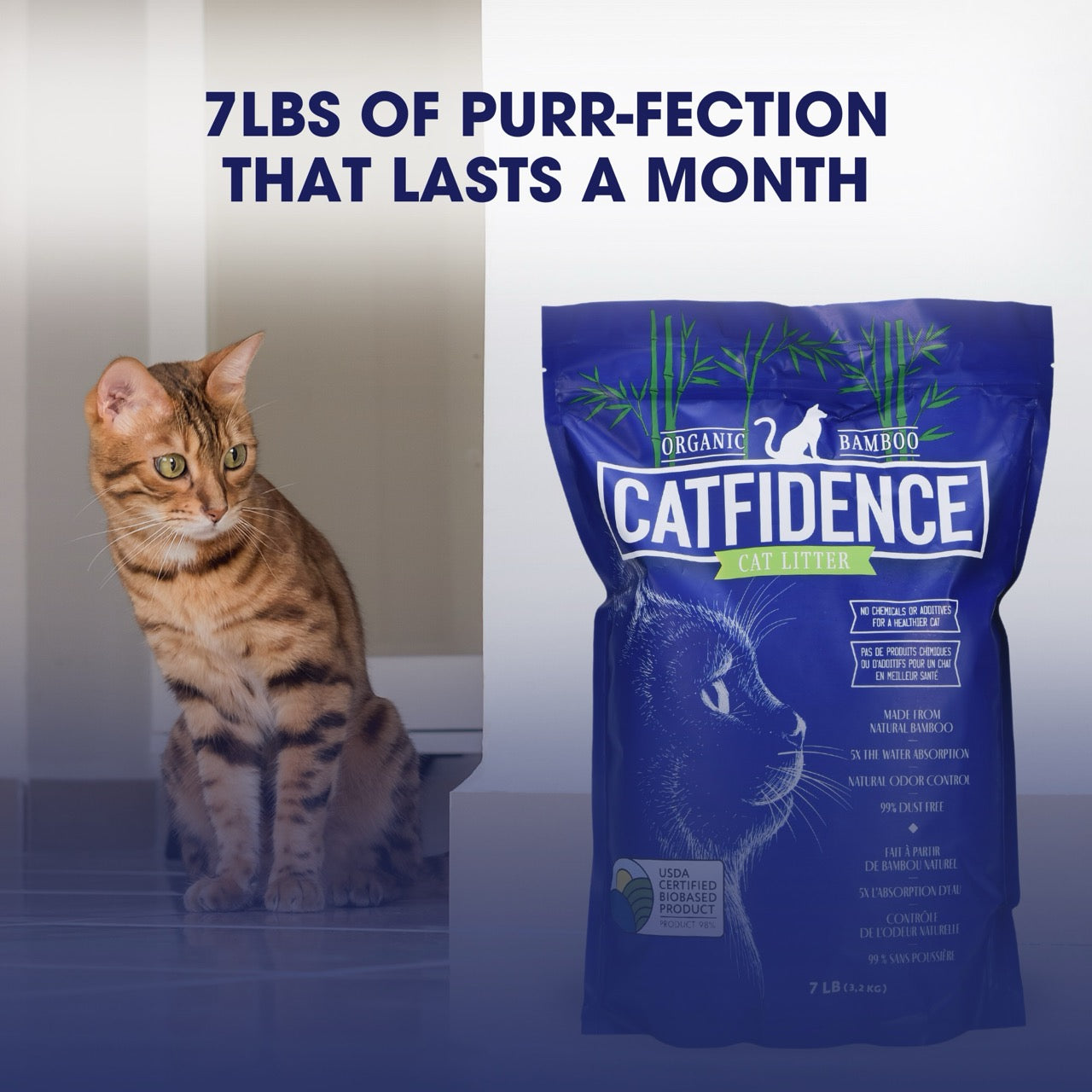 Catfidence Cat Litter