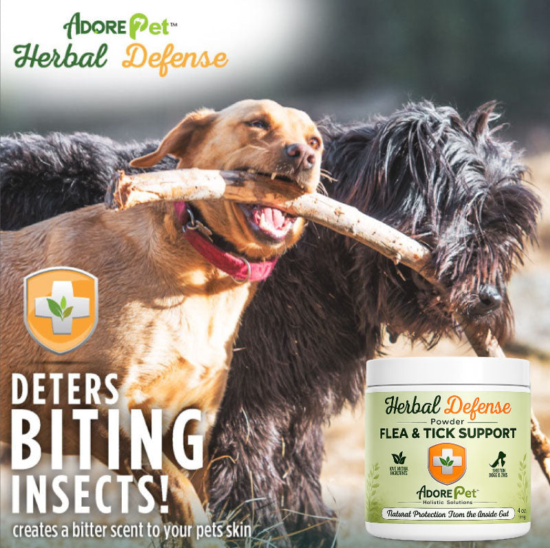Herbal Defense Powder – Natural Flea, Tick & Mosquito Repellent for Dogs & Cats