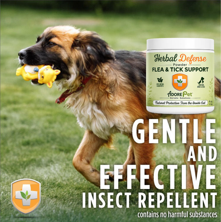 Herbal Defense Powder – Natural Flea, Tick & Mosquito Repellent for Dogs & Cats