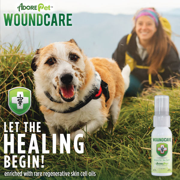 Natural Wound Care Oil for Dogs & Cats – Skin Healing & Protection
