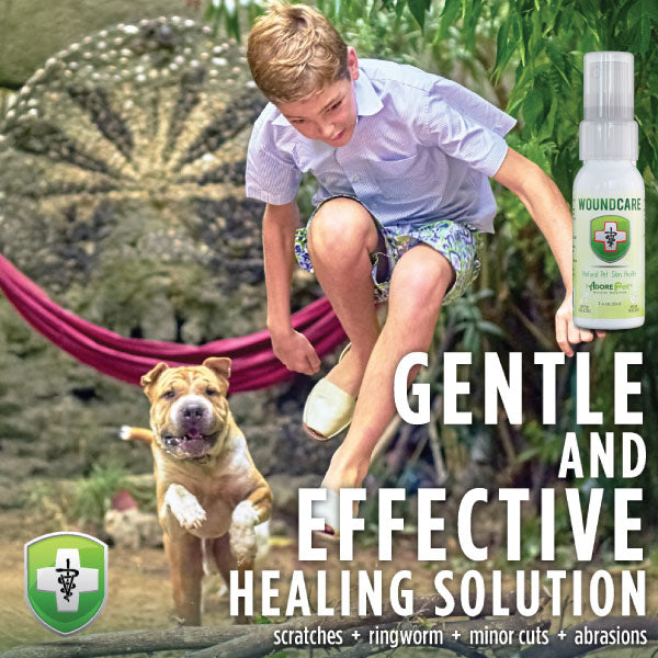 Natural Wound Care Oil for Dogs & Cats – Skin Healing & Protection