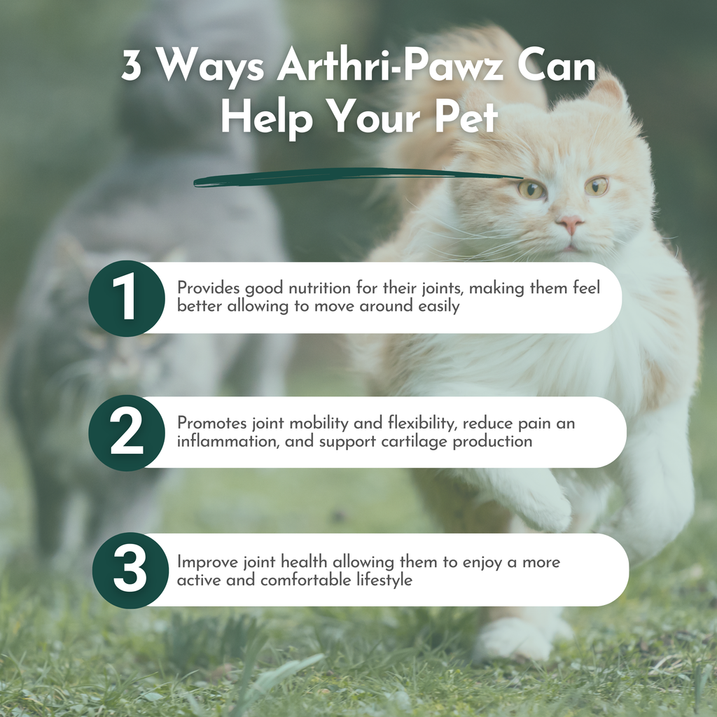 Arthri-Pawz Joint Support Supplement for Dogs & Cats