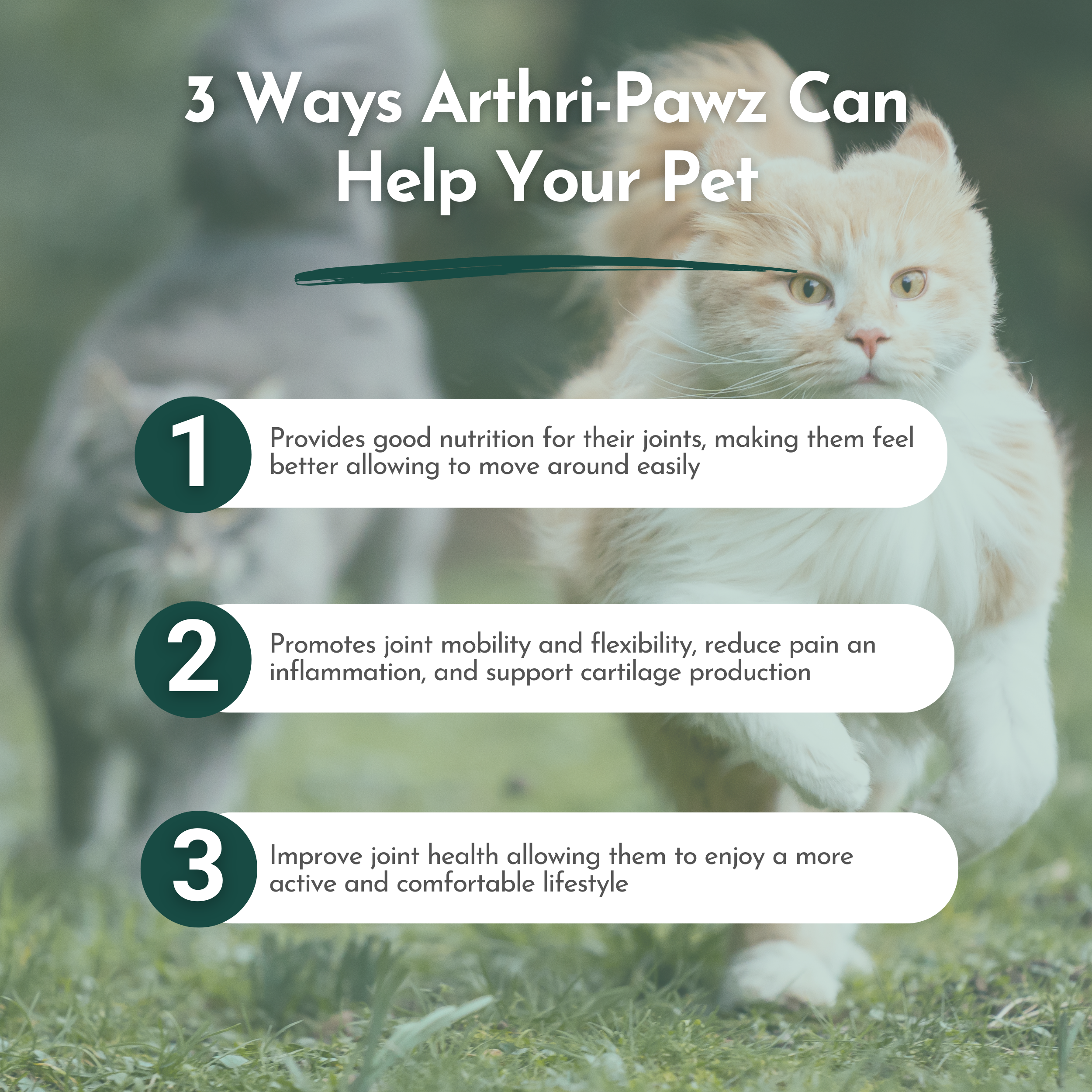 Arthri-Pawz Joint Support Supplement for Dogs & Cats