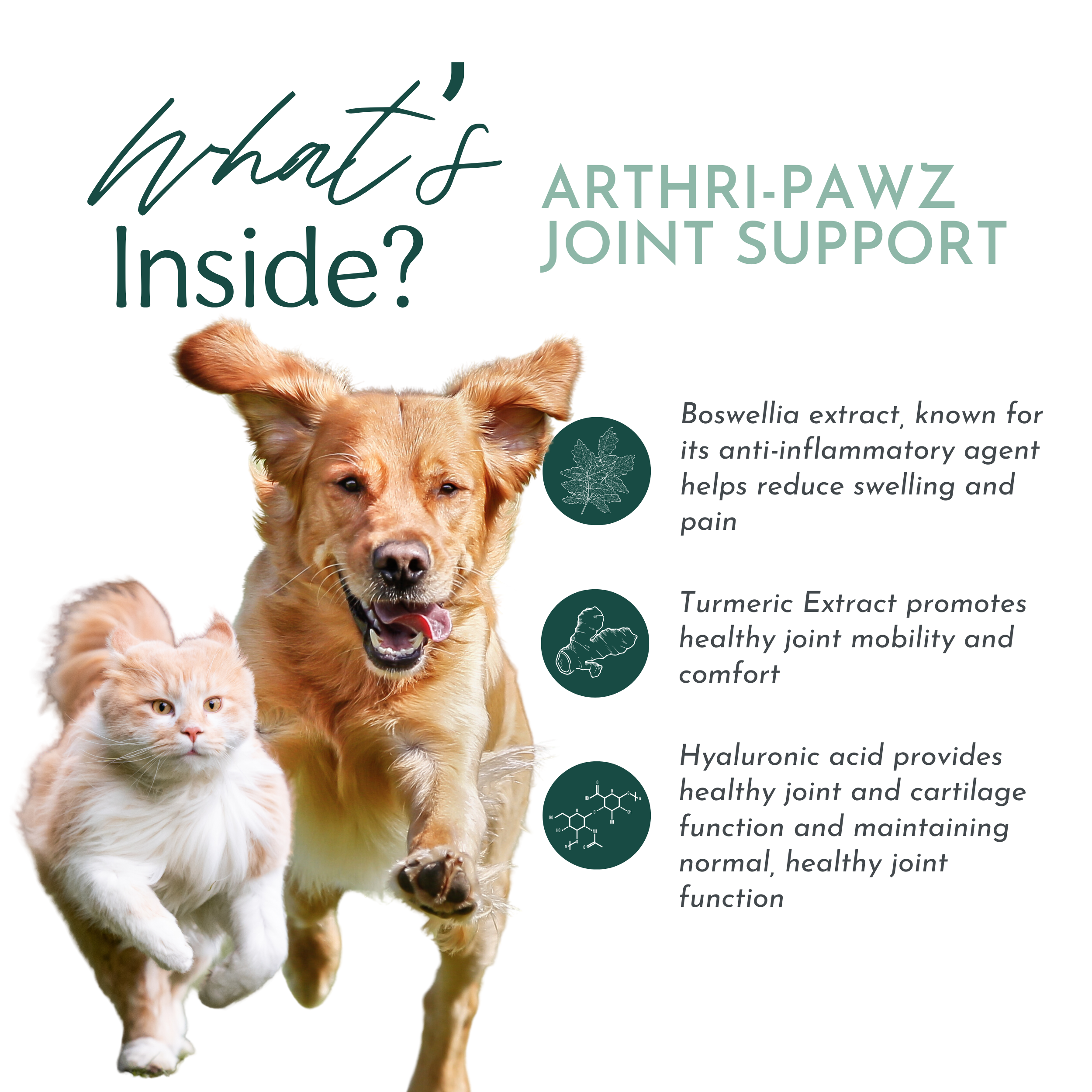 Arthri-Pawz Joint Support Supplement for Dogs & Cats