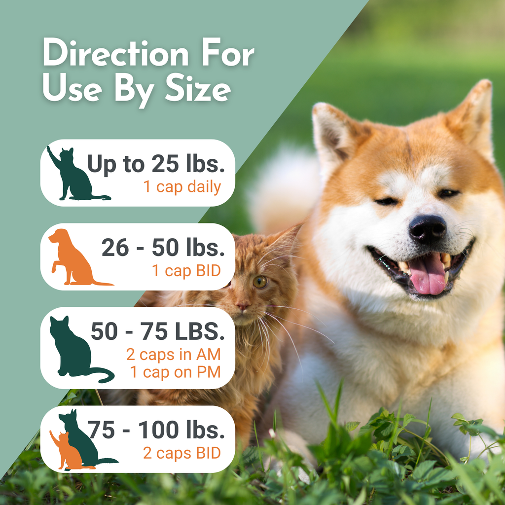 Arthri-Pawz Joint Support Supplement for Dogs & Cats
