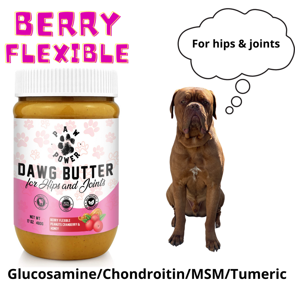 Hip & Joint Peanut Butter for Dogs