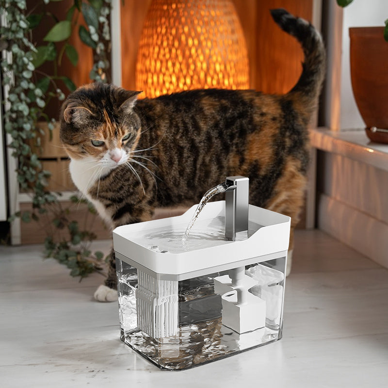 Filtered Cat Water Fountain