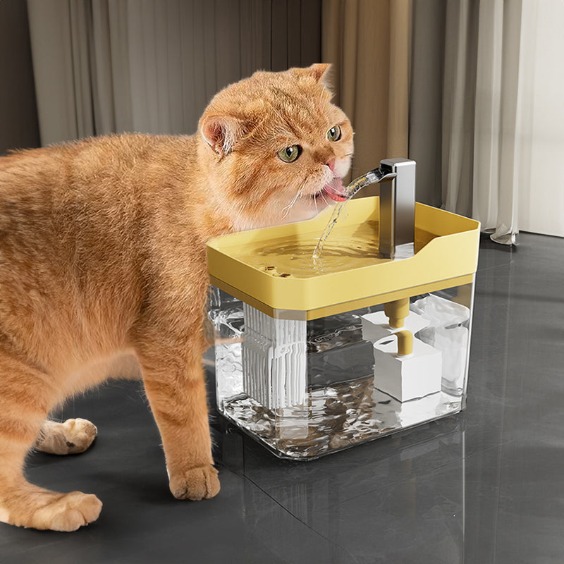 Filtered Cat Water Fountain