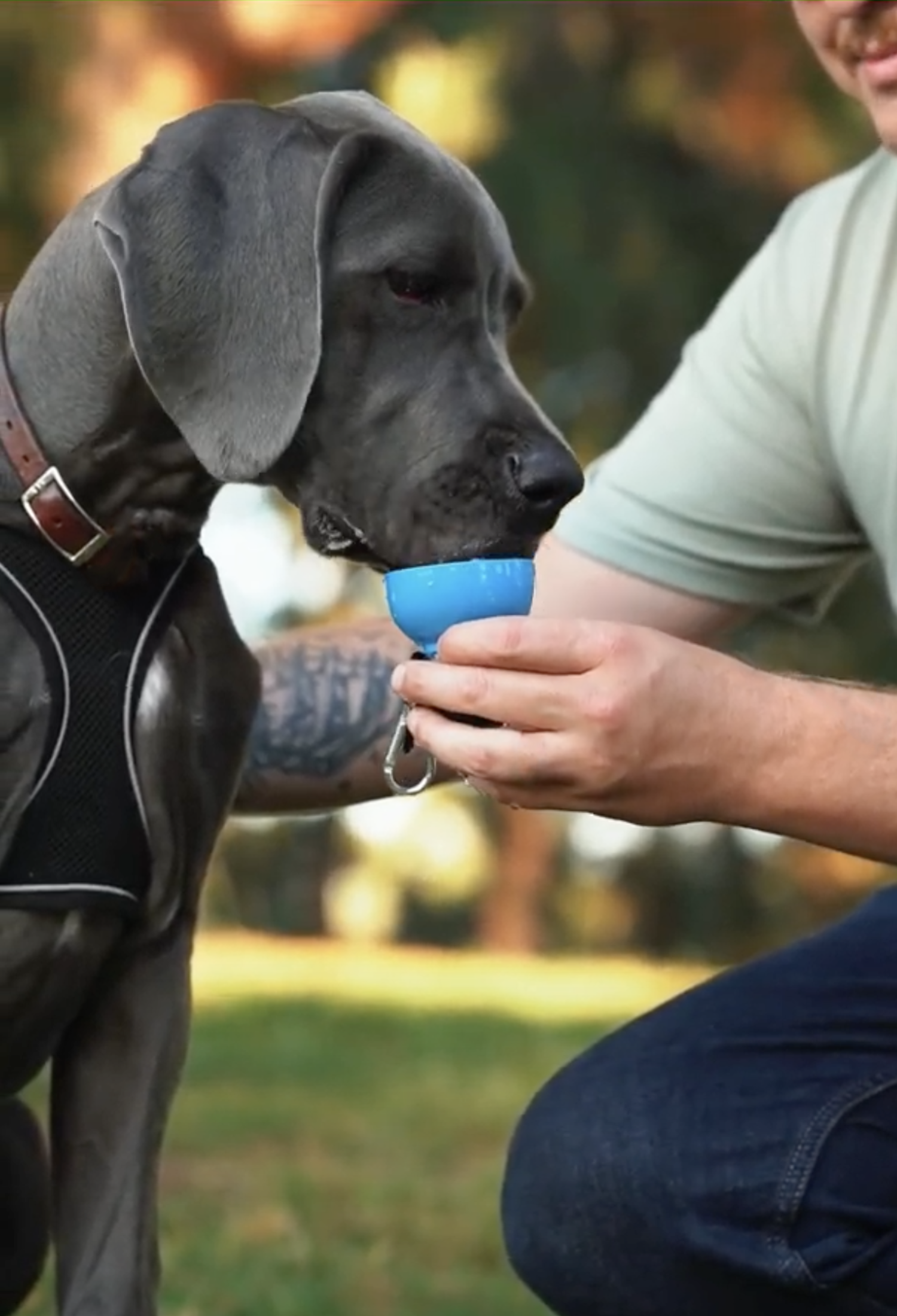 Never Walk Alone Dog Water Bottle