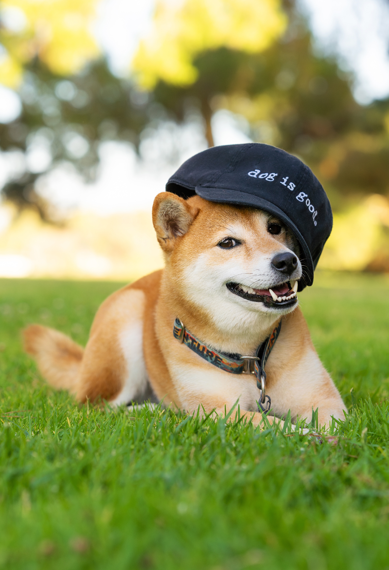 Dog is Good Signature Hat