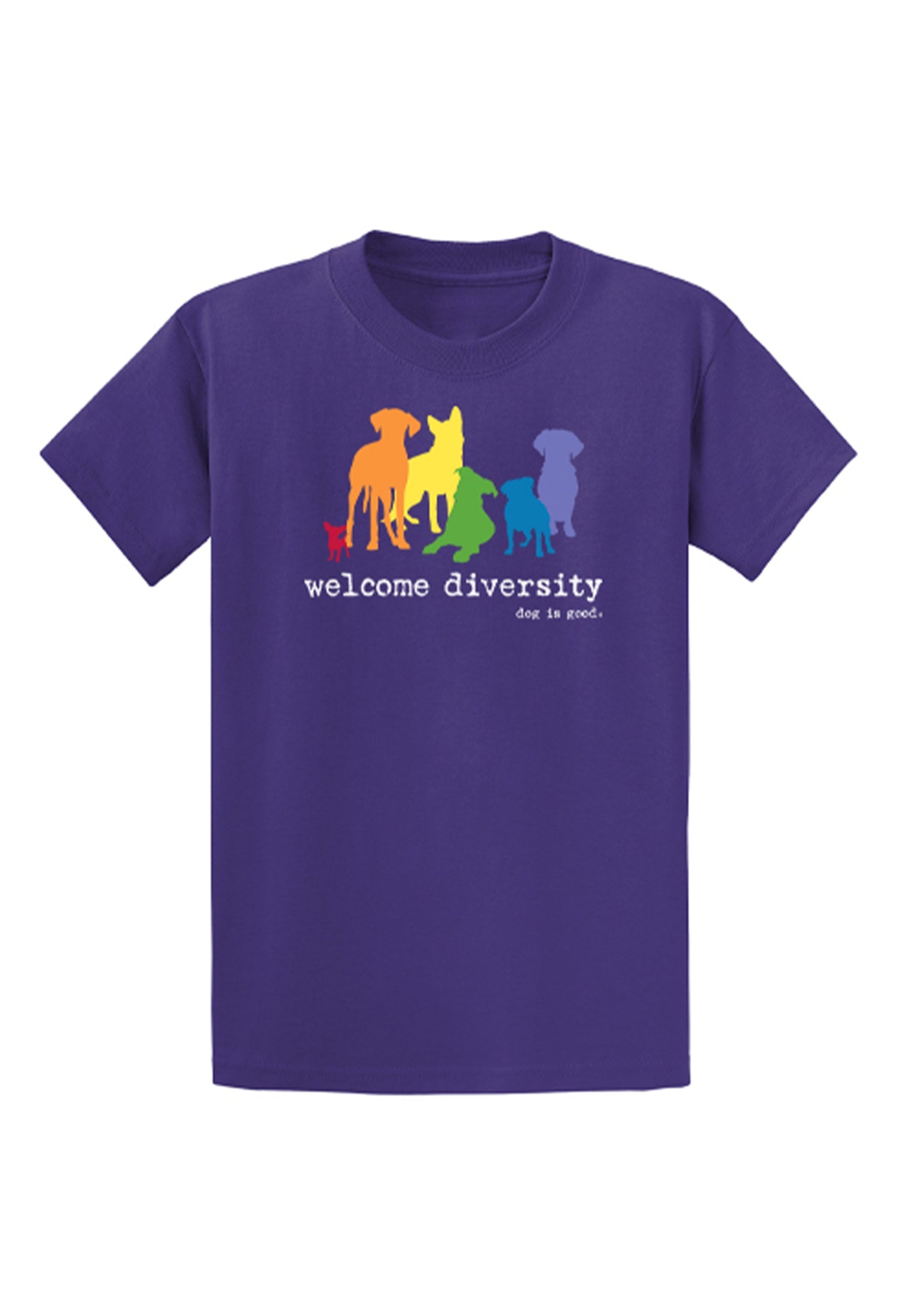Welcome Diversity Pride T-Shirt