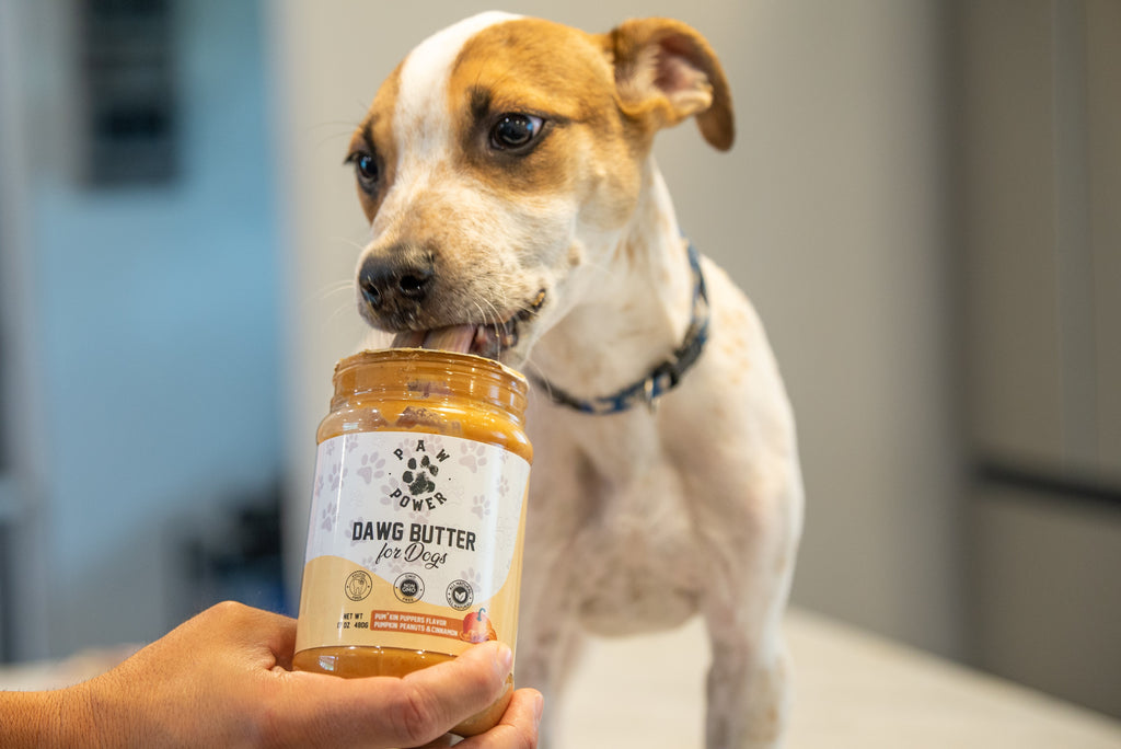 Pumpkin Peanut Butter for Dogs