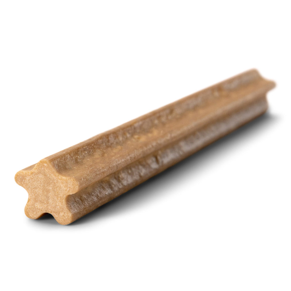 Large Dental Chews for Dogs