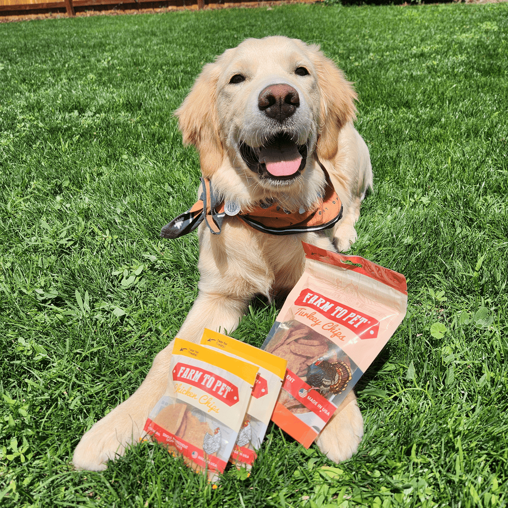 Puppy Treat Starter Pack