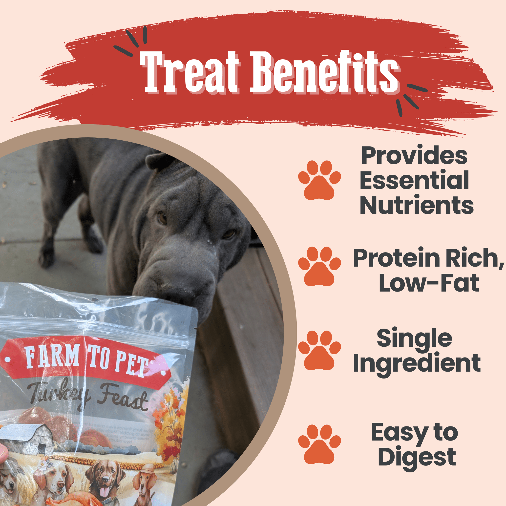 Turkey Feast Chips for Dogs