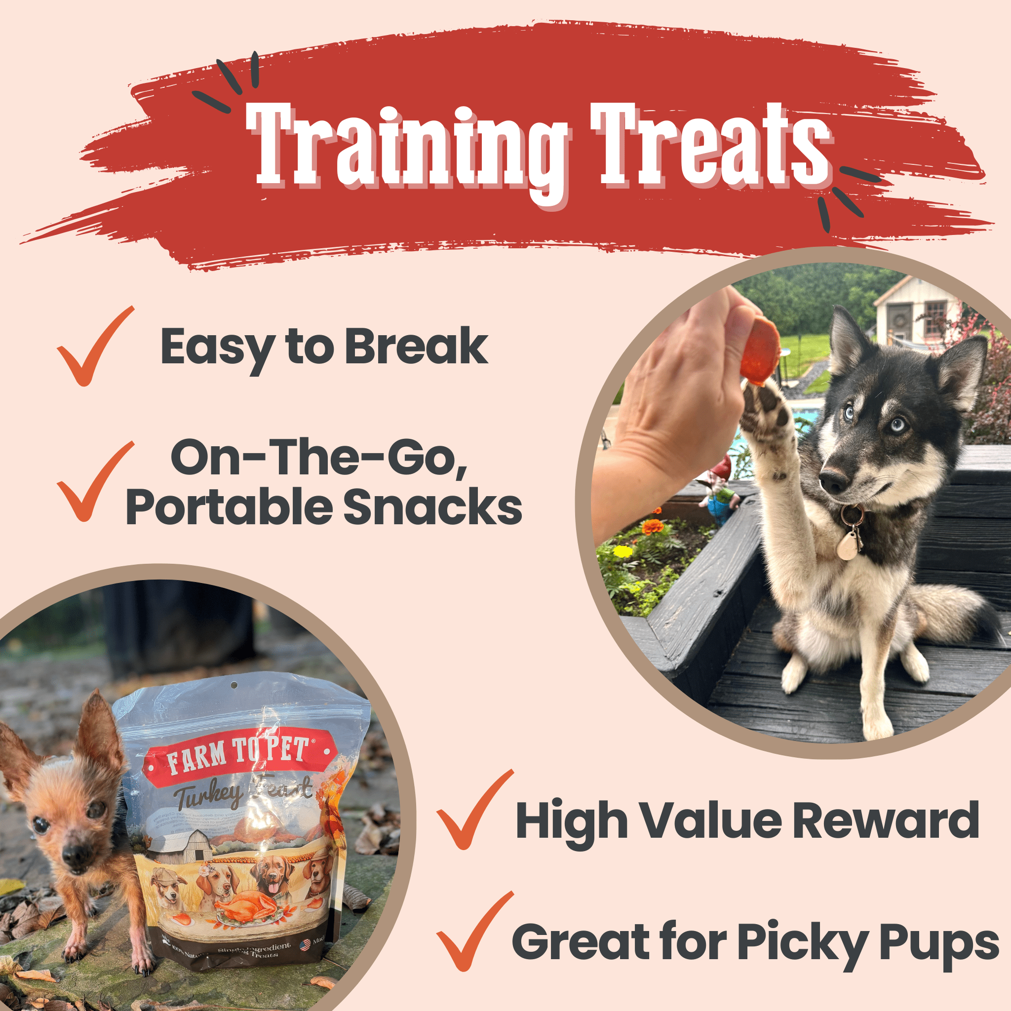 Turkey Feast Chips for Dogs