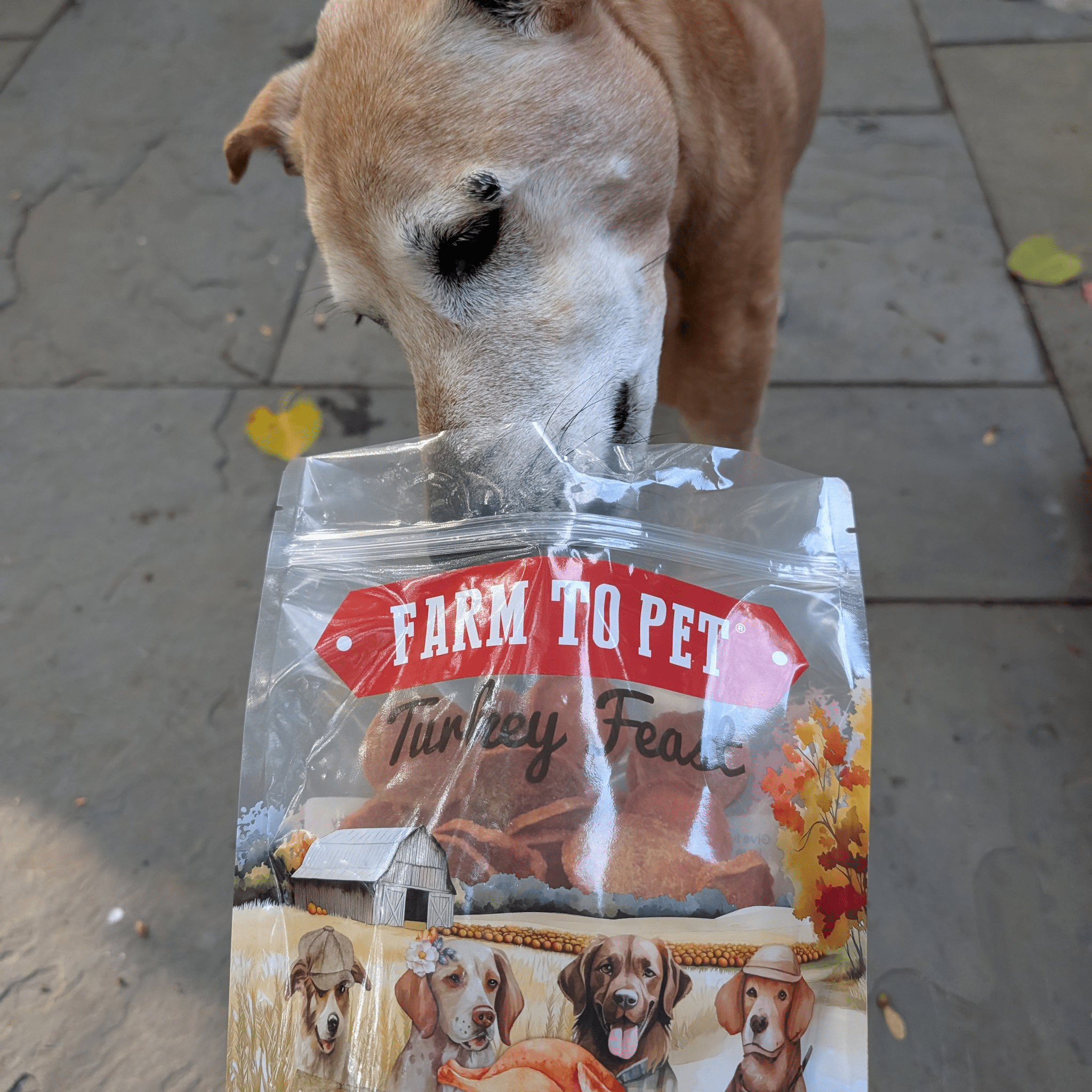 Turkey Feast Chips for Dogs