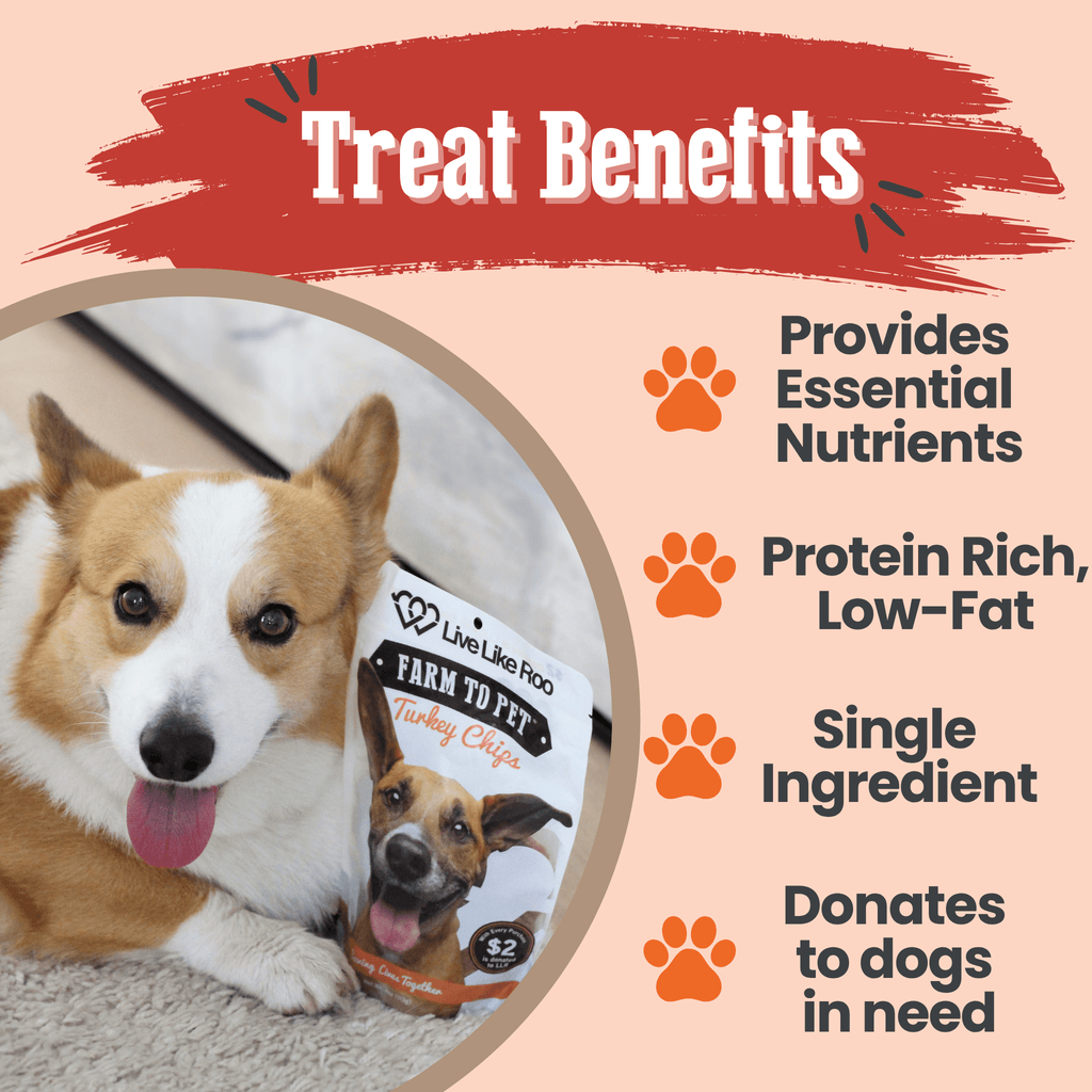 Turkey Chips for Dogs