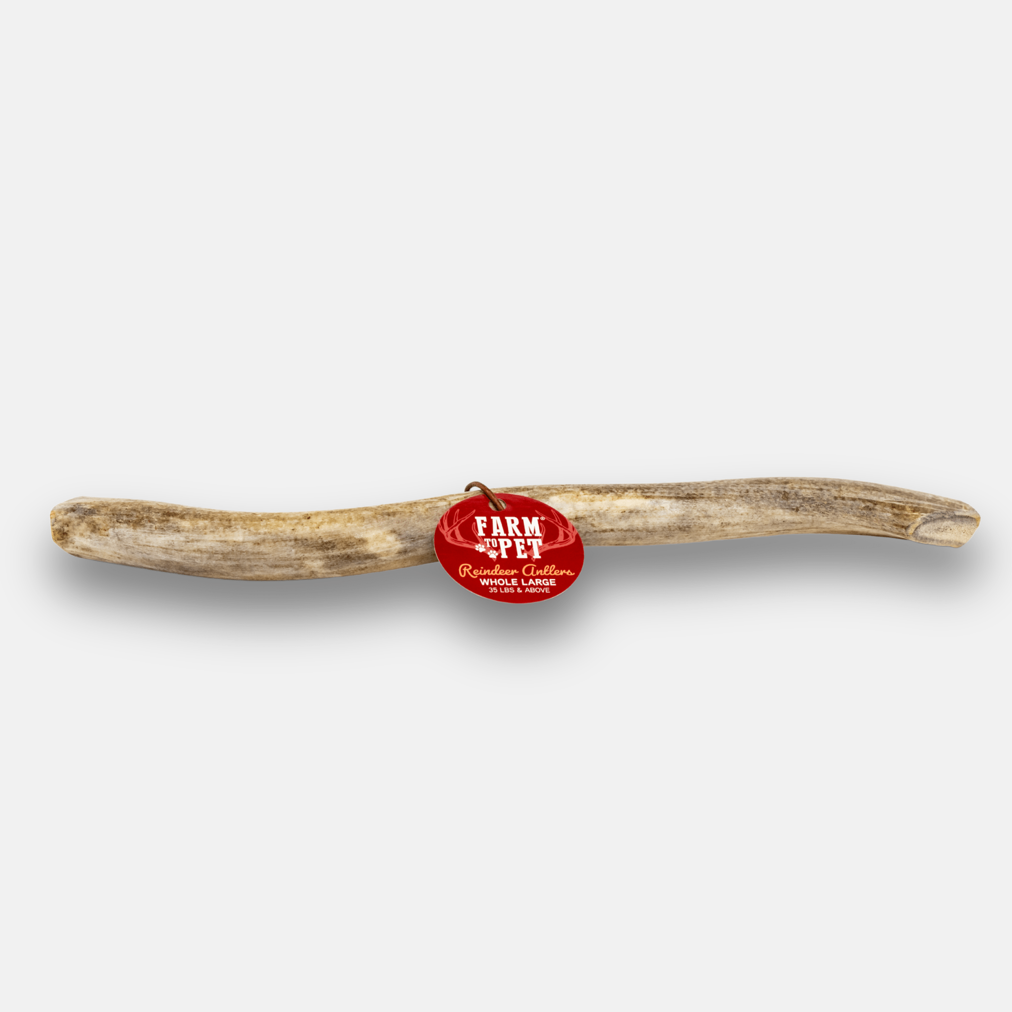 Reindeer Antler Dog Chews