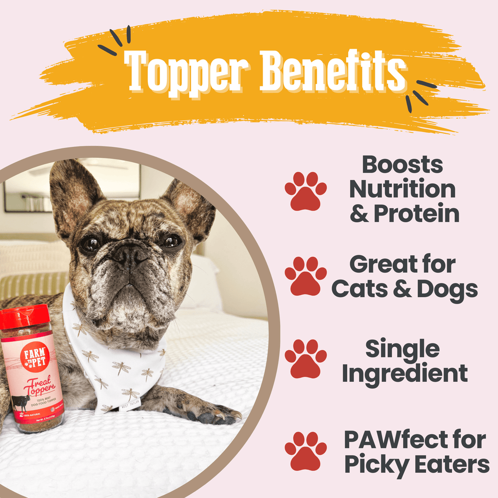 Beef Dog Food Topper Powder
