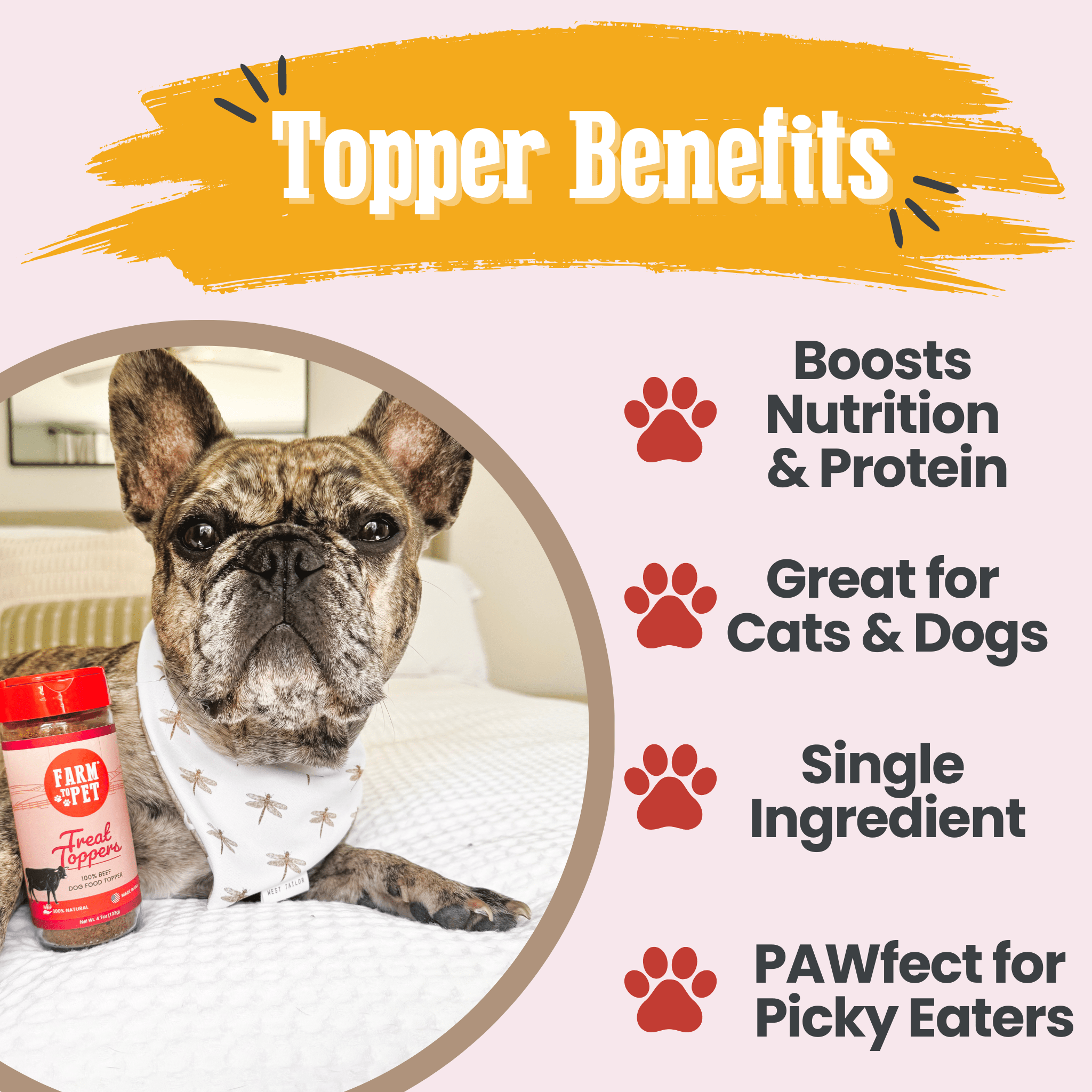 Beef Dog Food Topper Powder