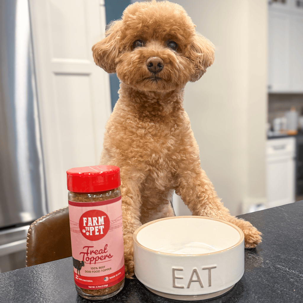 Beef Dog Food Topper Powder