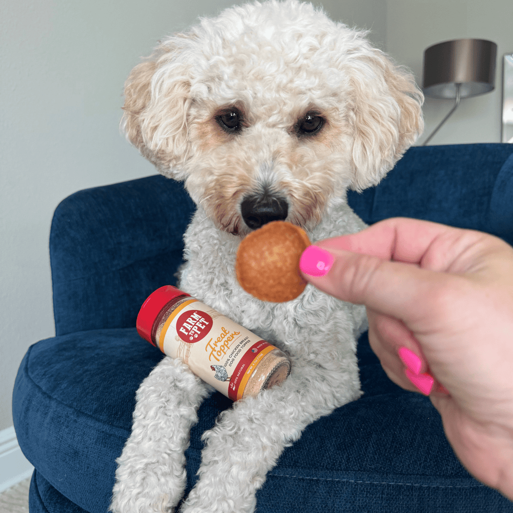 Chicken Dog Food Topper