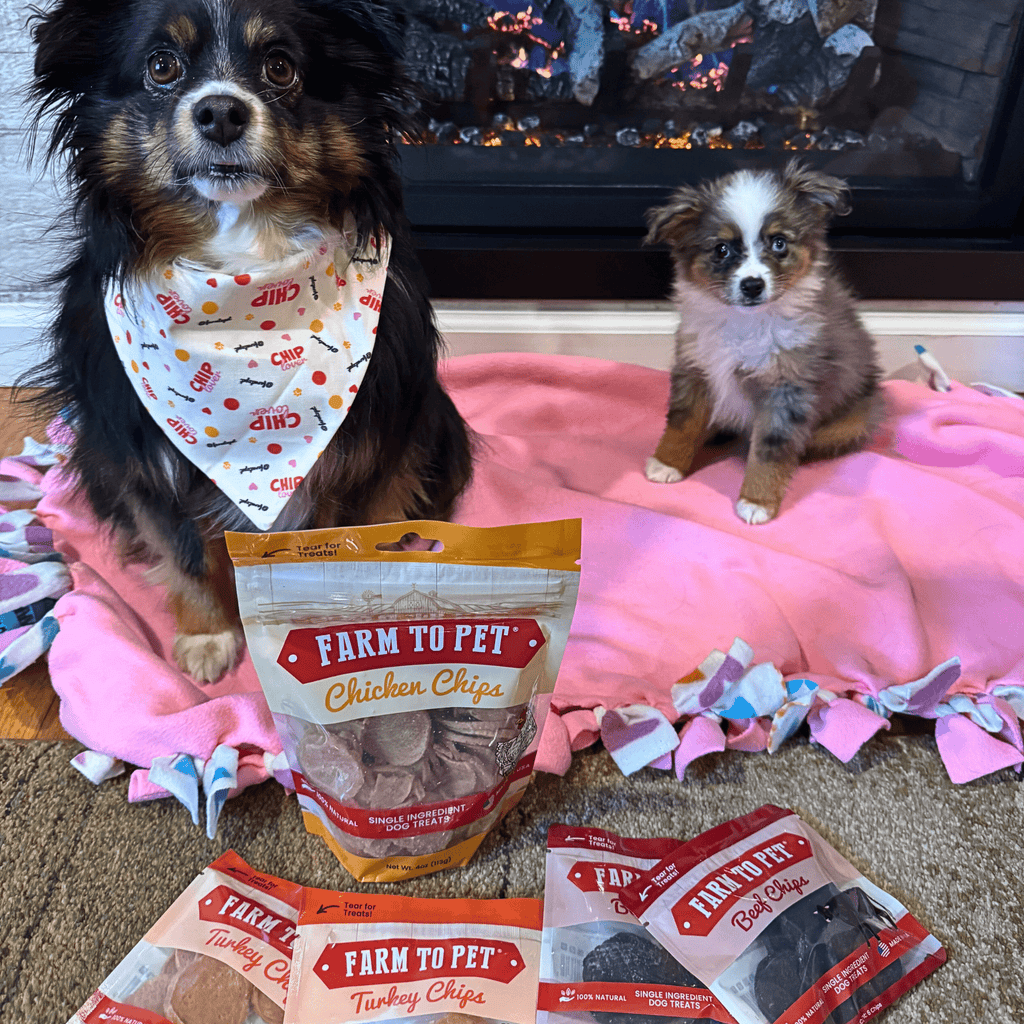Puppy Treat Starter Pack