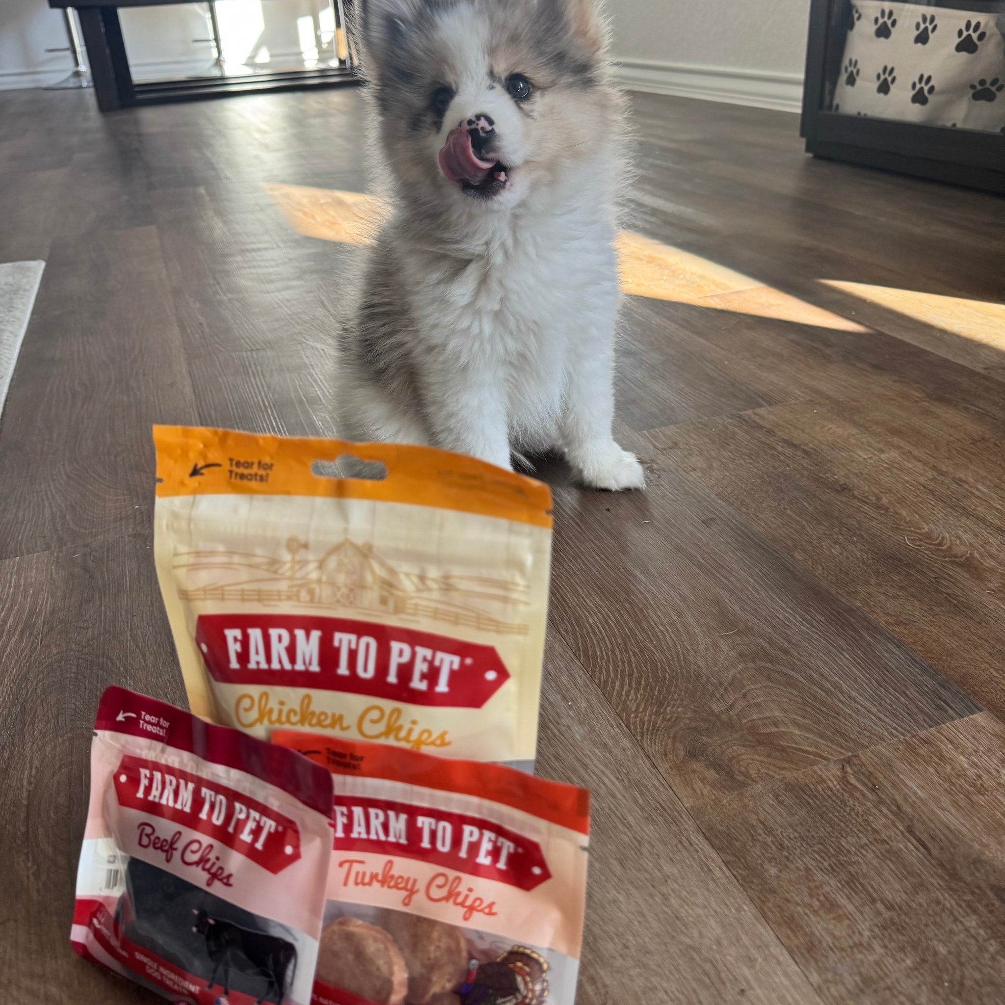Puppy Treat Starter Pack