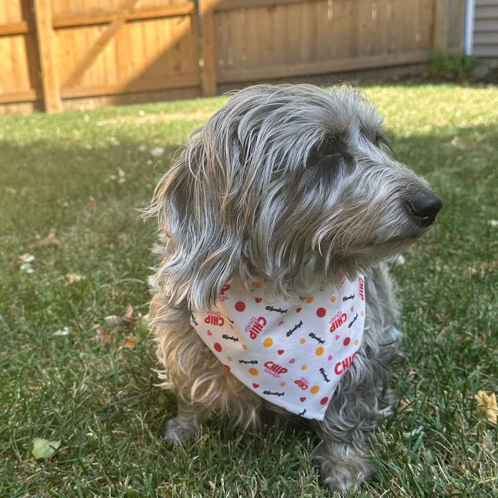 Tie-on Dog Bandana