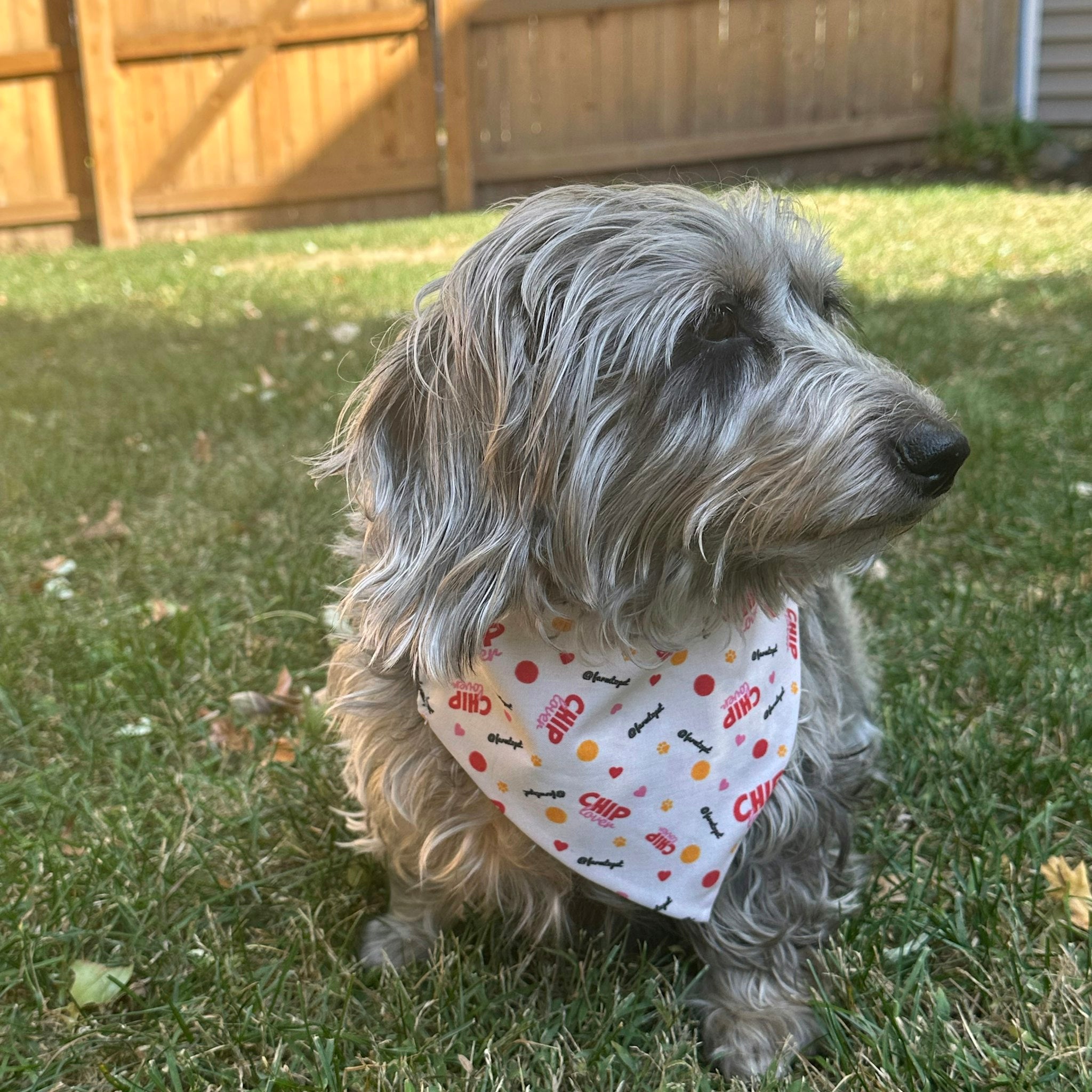 Tie-on Dog Bandana