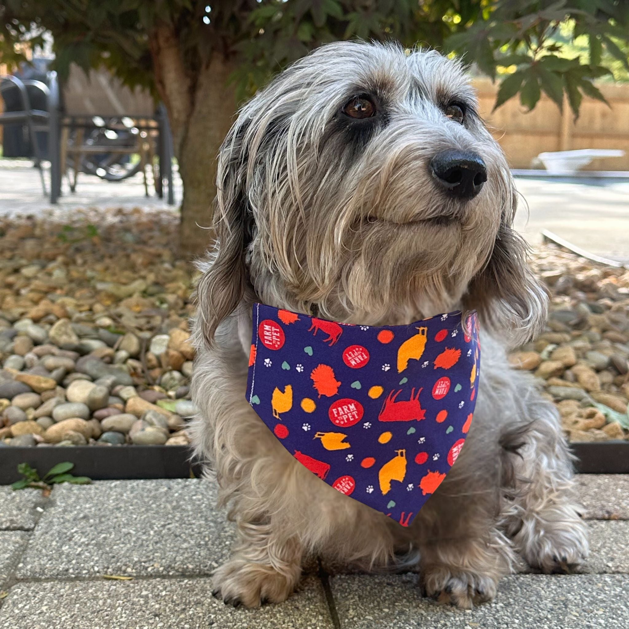 Tie-on Dog Bandana