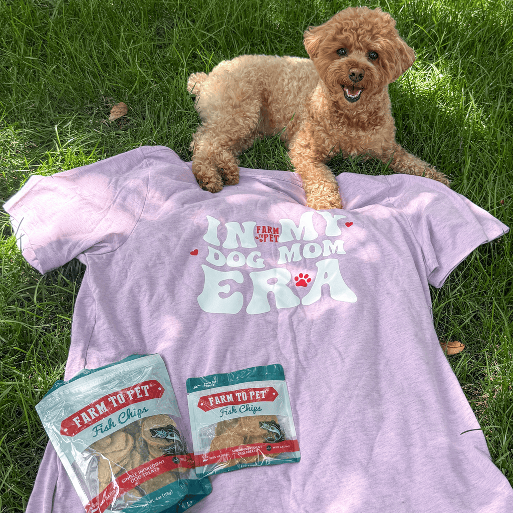 Dog Mom Era T-Shirt