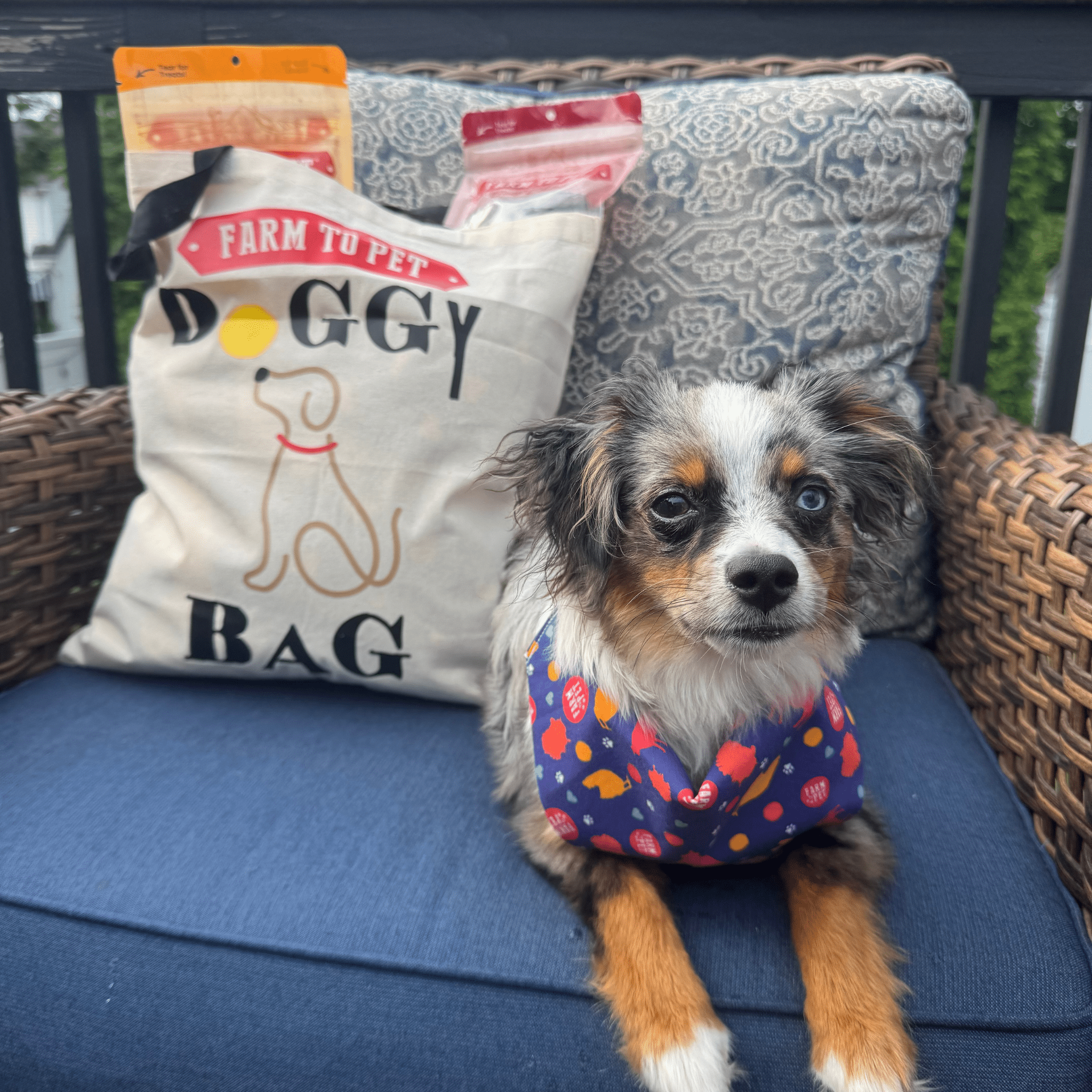 Farm to Pet Tote Bag