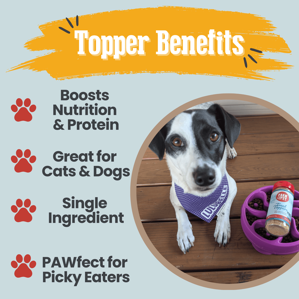Fish Dog Food Topper