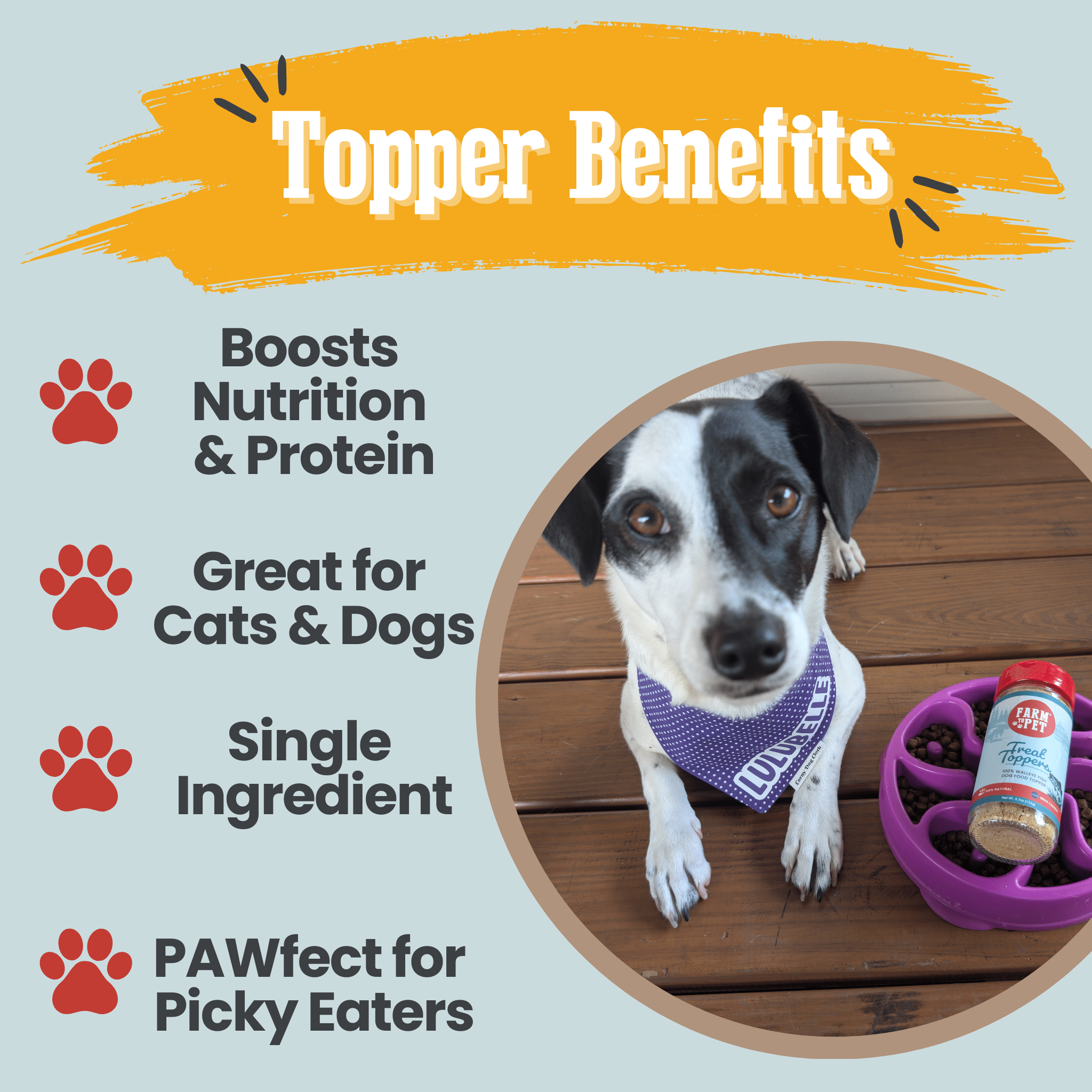 Fish Dog Food Topper