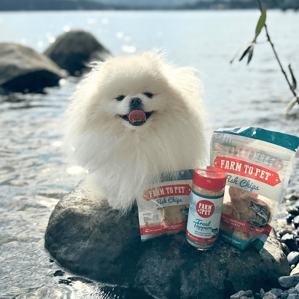 Fish Dog Food Topper