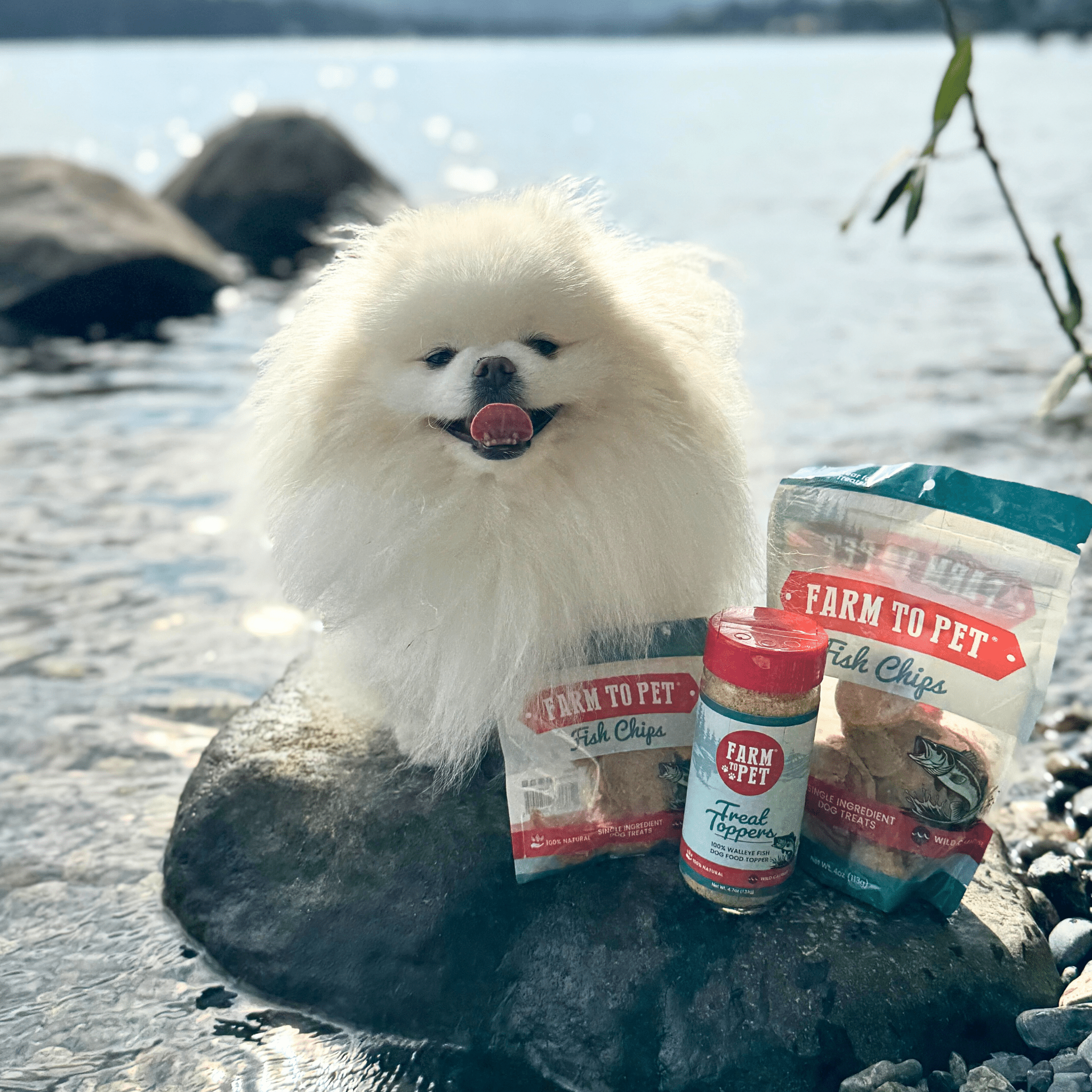 Fish Dog Food Topper