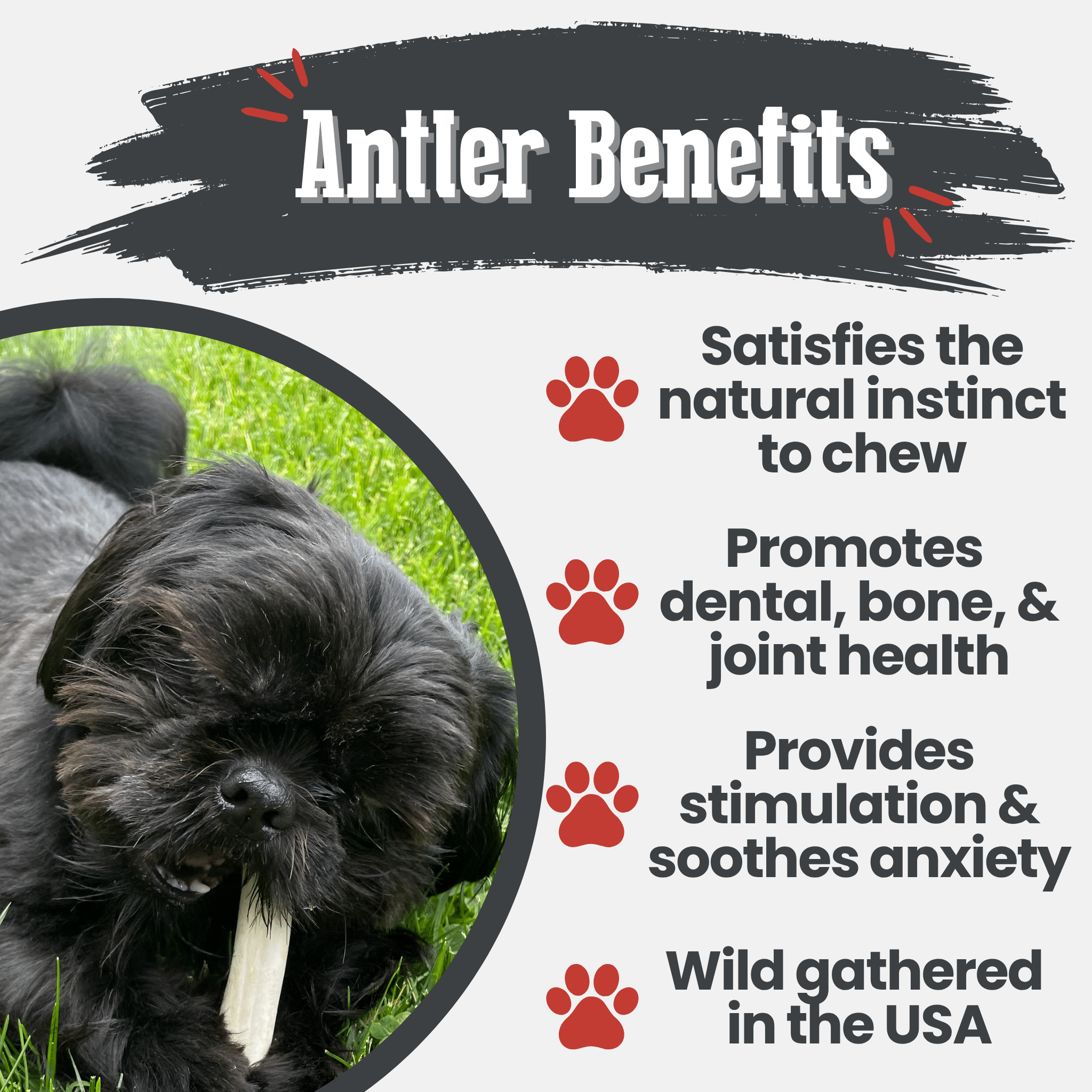 Reindeer Antler Dog Chews