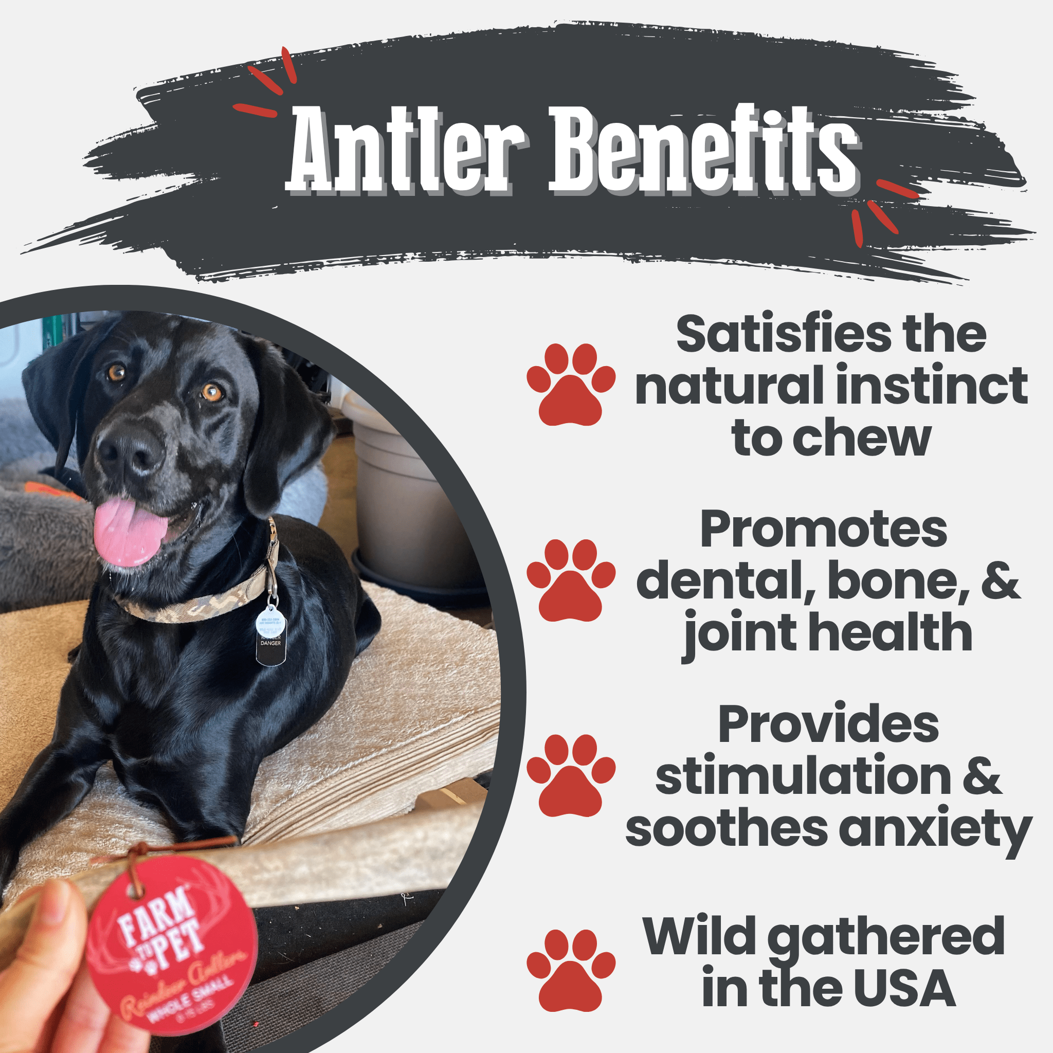 Reindeer Antler Dog Chews