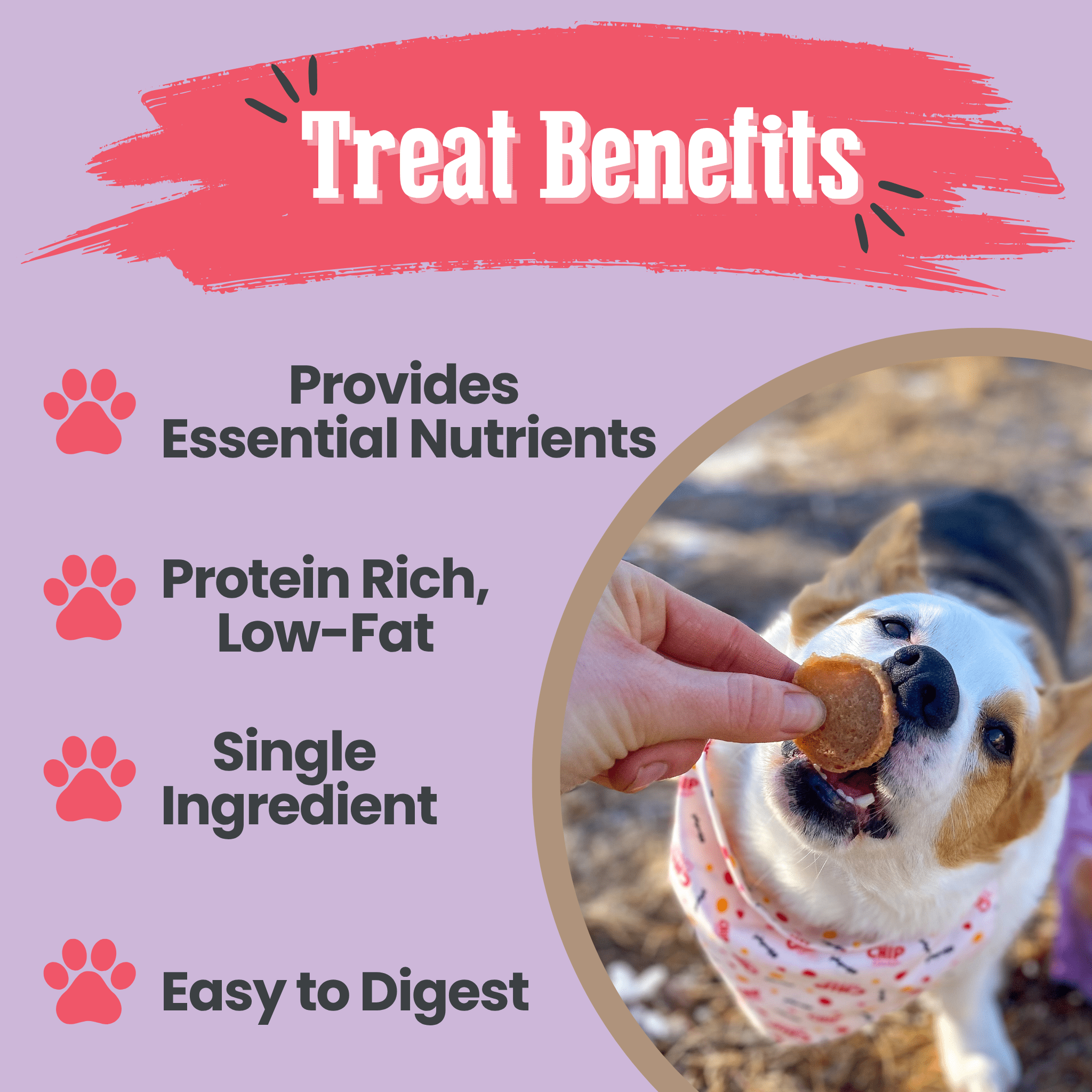 Puppy Poultry Treat Duo