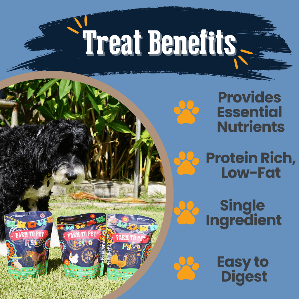 Dog Treat Variety Bundle