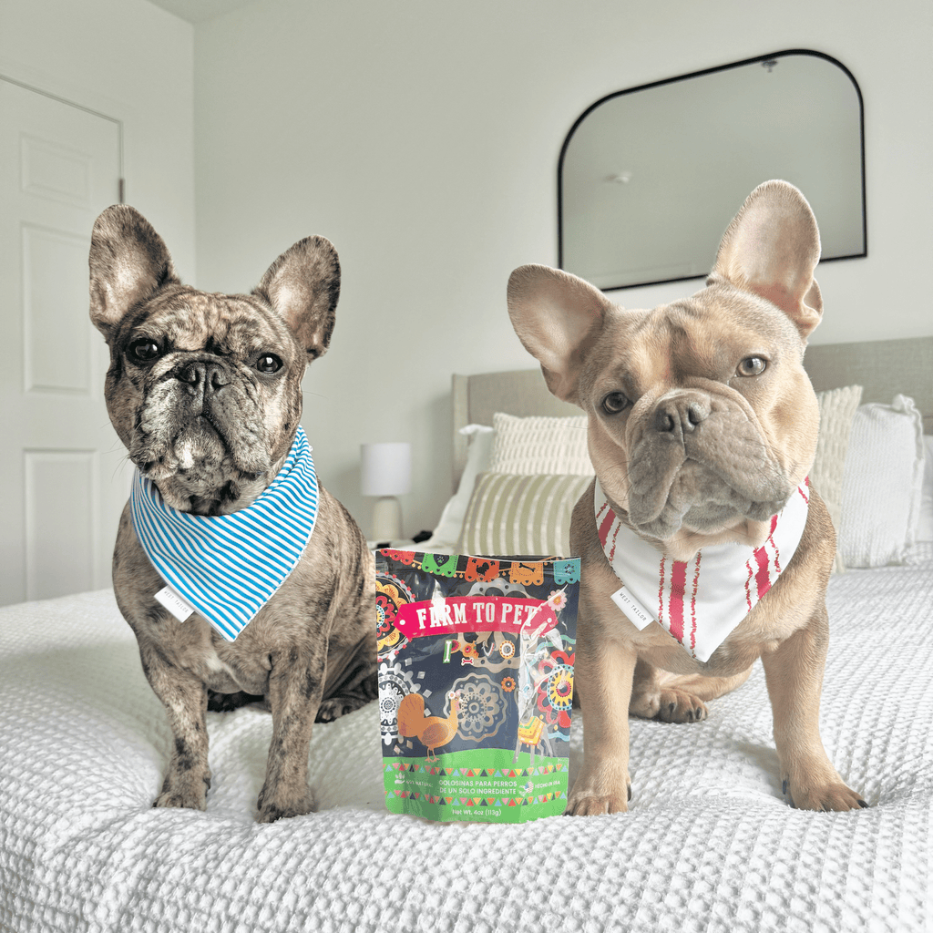 Dog Treat Variety Bundle