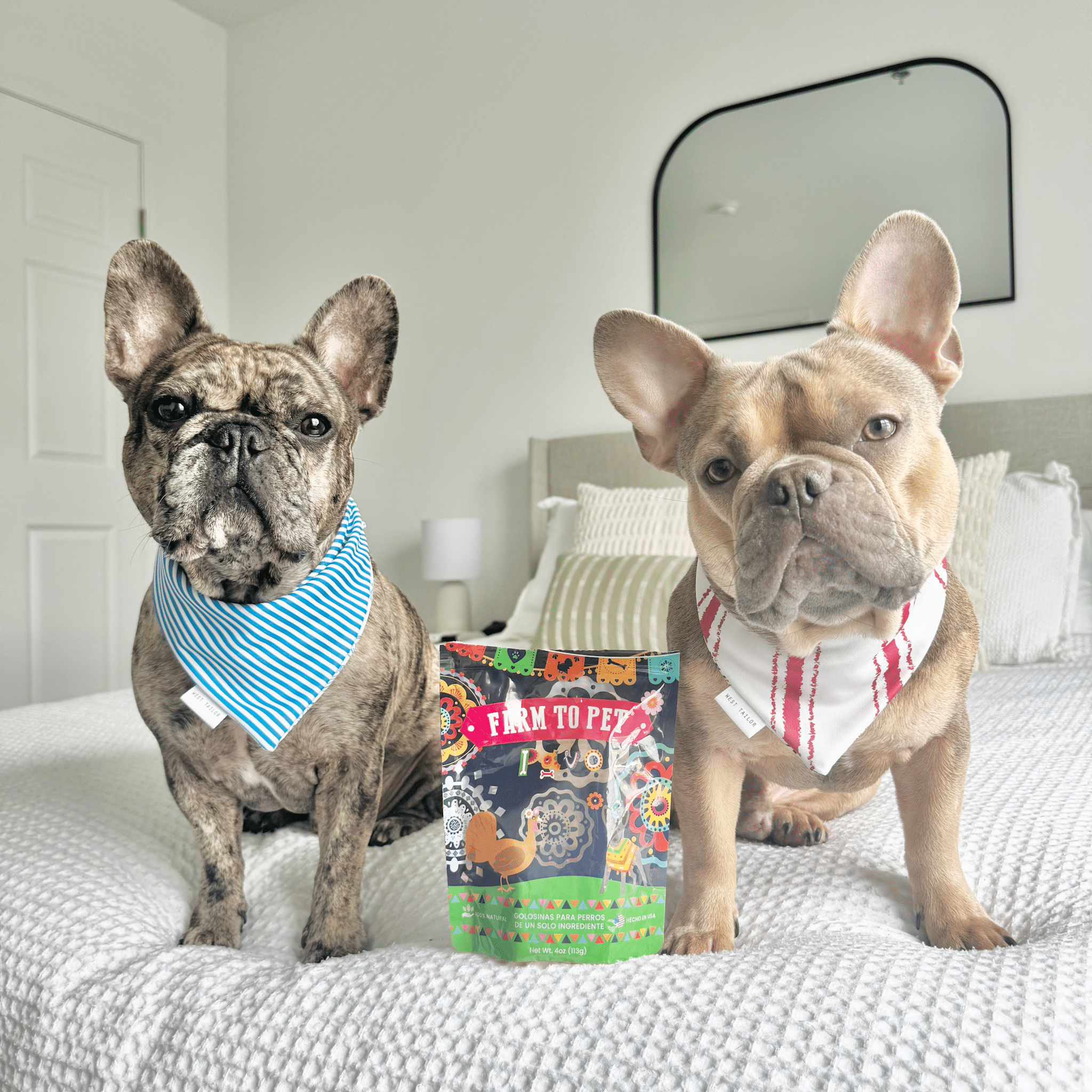 Dog Treat Variety Bundle